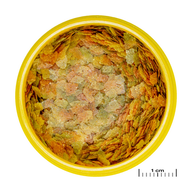 JBL PRONOVO BETTA FLAKES S 20ml
